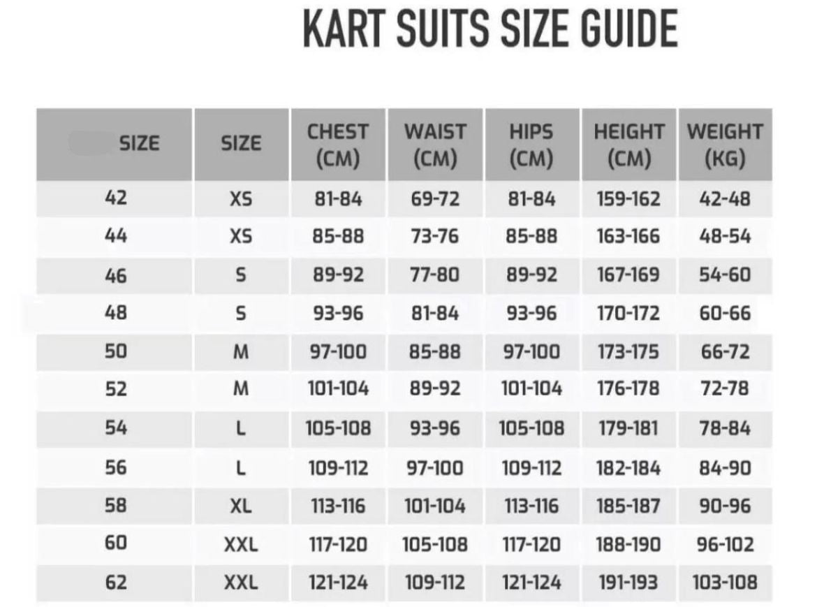 2019 Lewis Hamilton Petronas Mercedes Suit CIK/FIA LEVEL2 Go Kart Racing Suit