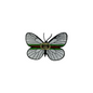 GUCCI BUTTERFLY Embroidered Patch Sew or iron on Patch